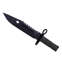 M9 刺刀（★ StatTrak™） | 蓝钢 (战痕累累)