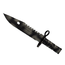 M9 刺刀（★ StatTrak™） | 枯焦之色 (略有磨损)
